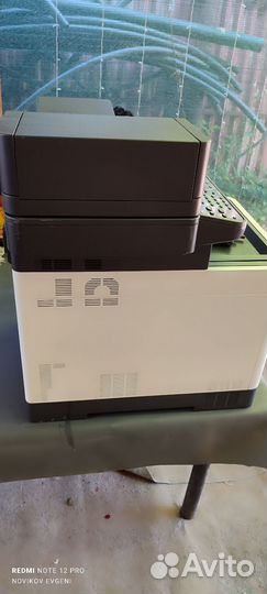 Мфу kyocera ecosys M6030CDN
