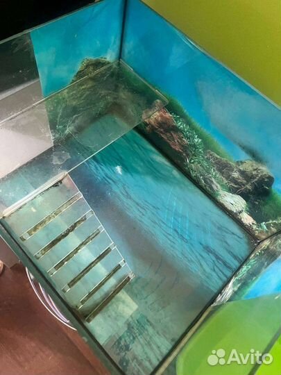 Аквариум для морской черепахи и терариум-переноска