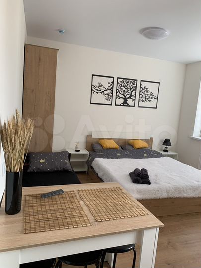 Квартира-студия, 24 м², 14/16 эт.