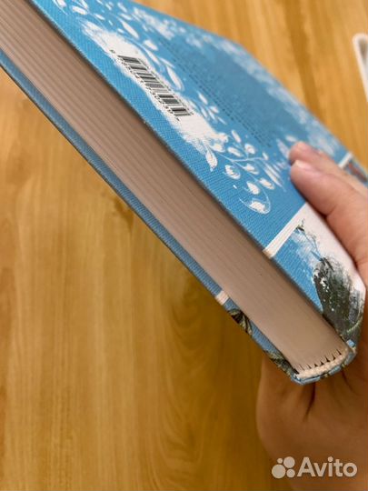 Доводы рассудка