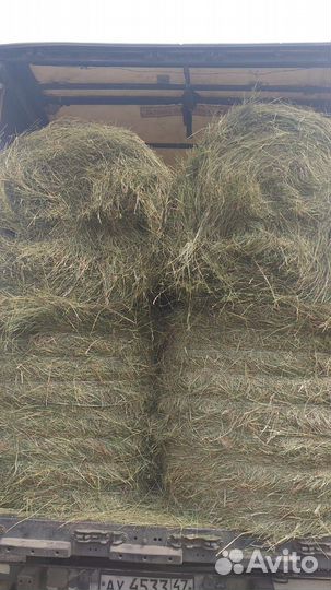 Сено в рулонах оптом