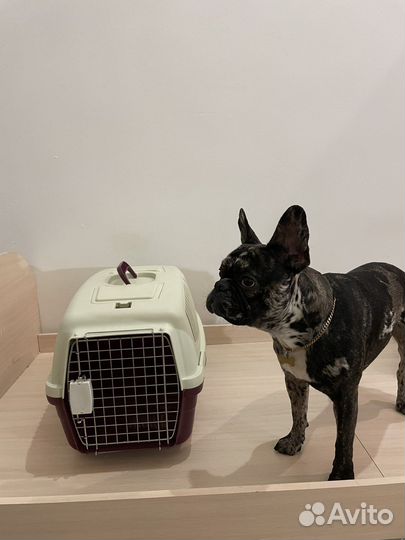 Переноска для животного для собаки доя кошки