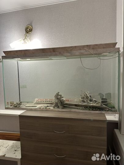 Аквариум с оборудованием