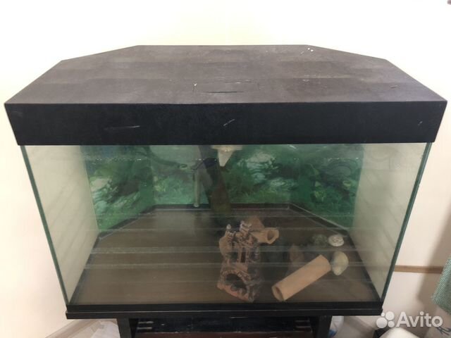 Аквариум 220 литров купить в Симферополе | Животные и зоотовары | Авито