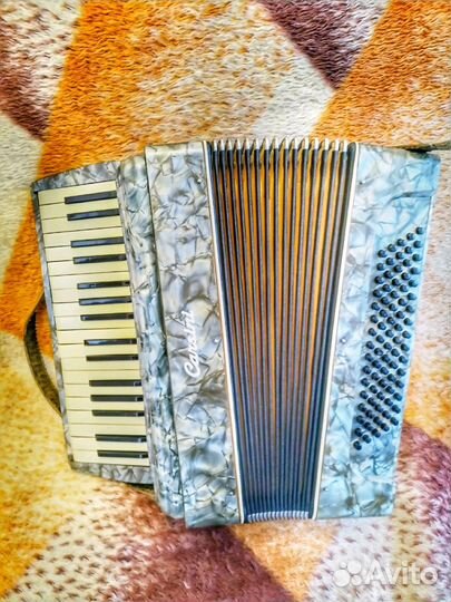 Аккордеон carsini