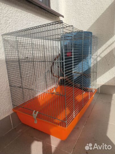 Большая клетка для птиц