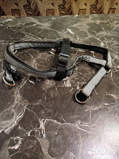 Шлейка для собак