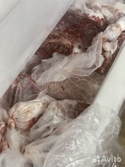 Фарш для кошек