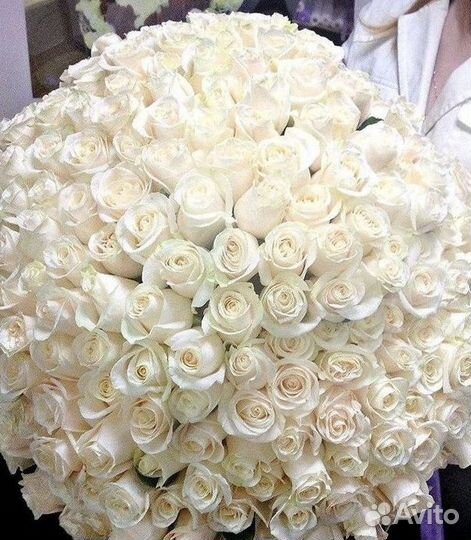 Цветы розы букеты 25 31 35 51 101 251 Доставка