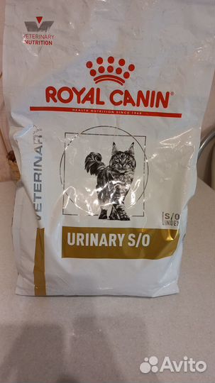 Royal canon s/o urinary