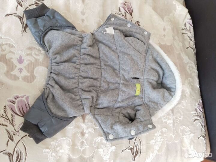 Одежда для собак