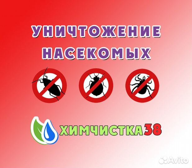 Уничтожение насекомых