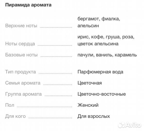 Dolce gabbana the only one