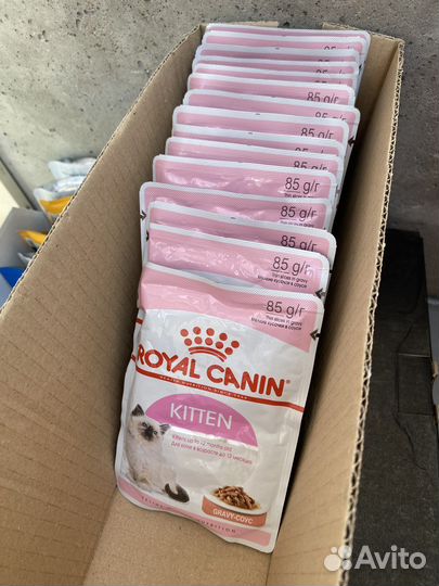 Корм для котят royal canin kitten gravy-coyc