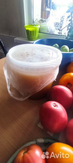 Томаты домашние свежие