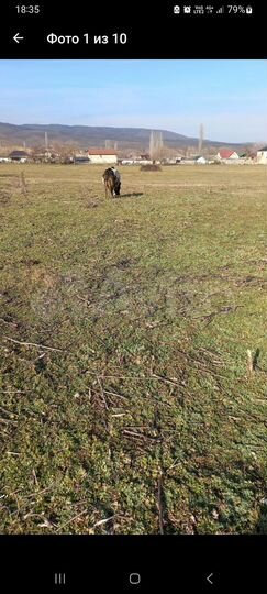 Участок 22,5 сот. (СНТ, ДНП)