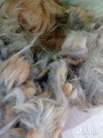 Собачья шерсть пух