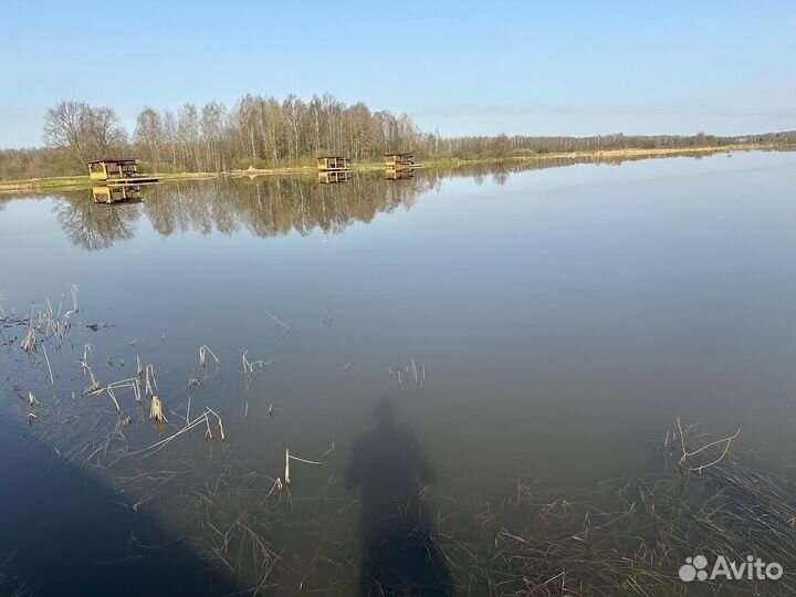 Аренда беседки на берегу