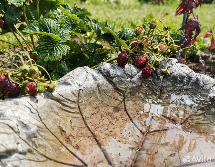 Чаши садовые