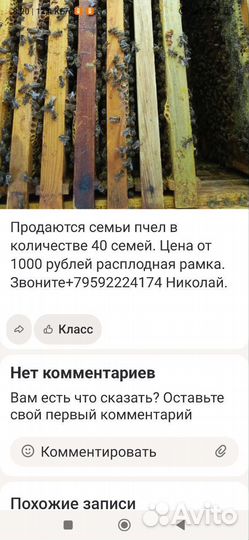 Продаются семьи пчел