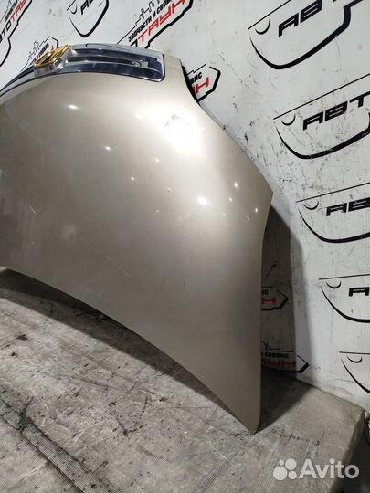 Капот honda elysion RR1 RR2 RR3 RR4 60100SJK000ZZ 1 модель бежевый, YR538MM QA5075