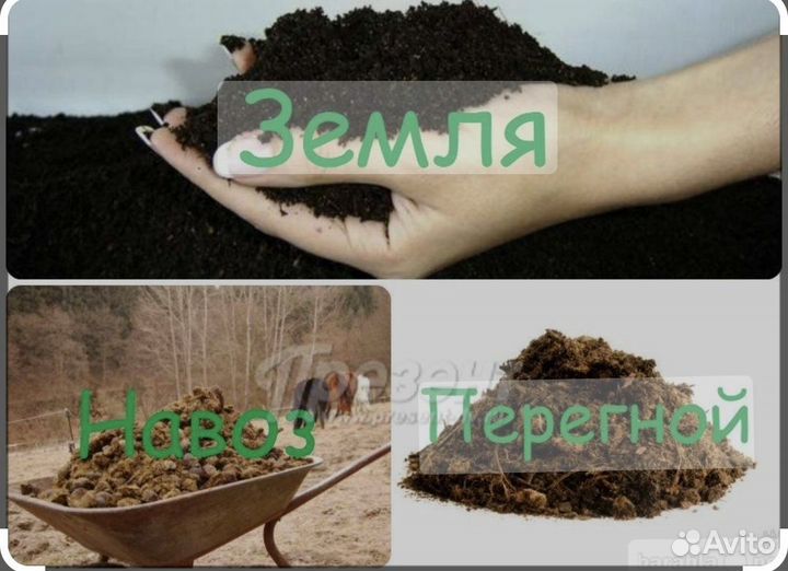 Земля для рассады