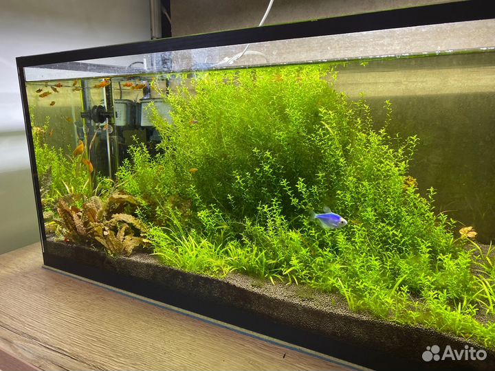 Аквариум 110 л