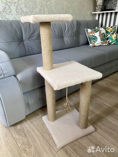 Когтеточка