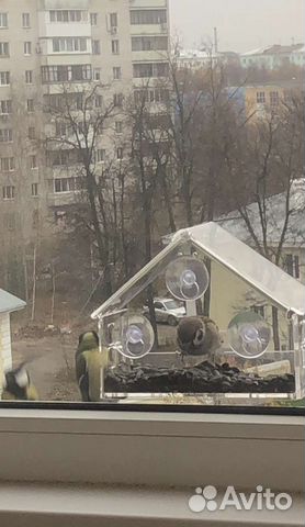 Кормушка для птиц прозрачная