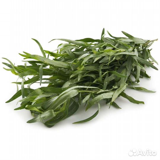 Зелень свежая