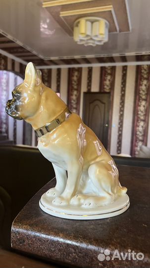 Статуэтка фарфор СССР винтаж бульдог собака