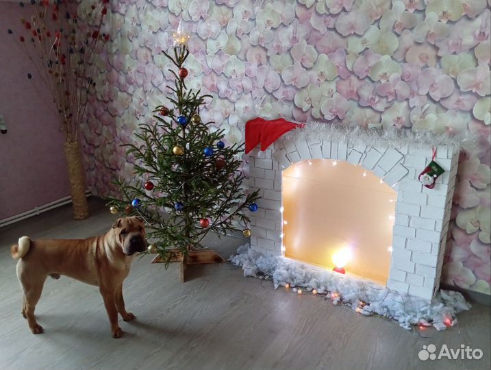 Шарпей вязка