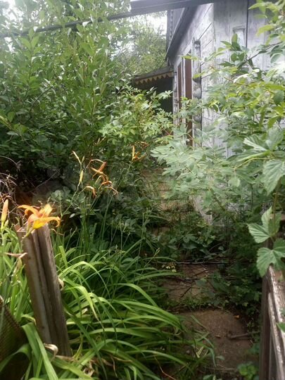 Дача 20 м² на участке 7 сот.