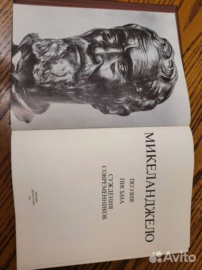 Микеланджело. Поэзия. Письма. Суждения современник