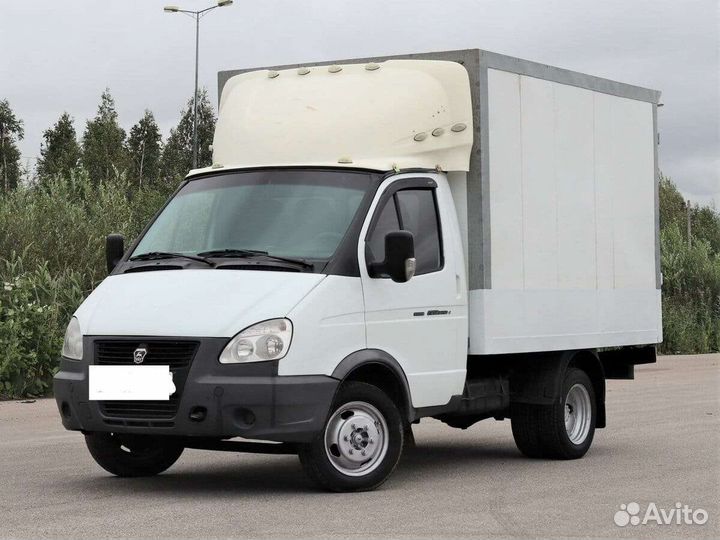 Газель