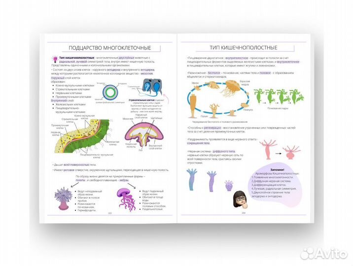 Учебник Алёны Бриз по биологии