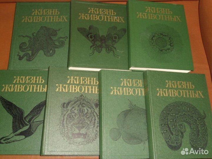 Жизнь животных