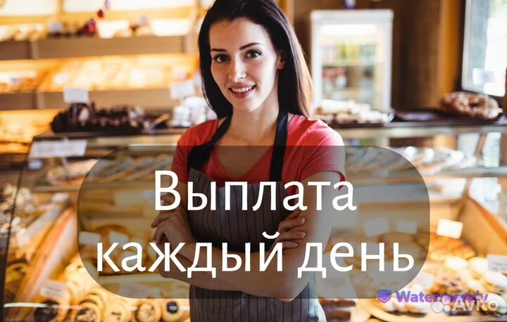Продавец с ежедневными выплатами