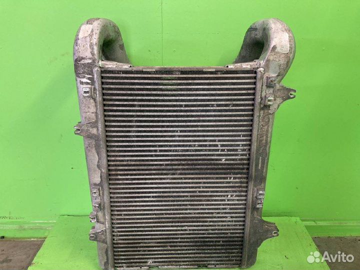 Интеркулер DAF XF105