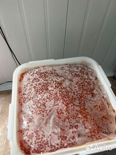 Икра Кеты опт