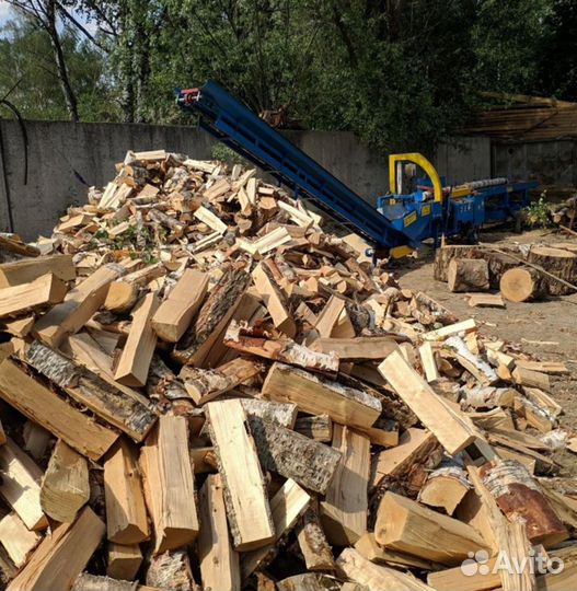 Дрова осина