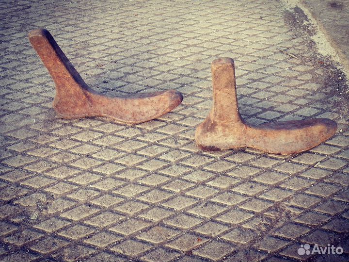 Лапа сапожная