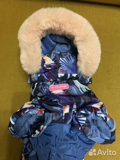 Комбинезон для собак мелких пород