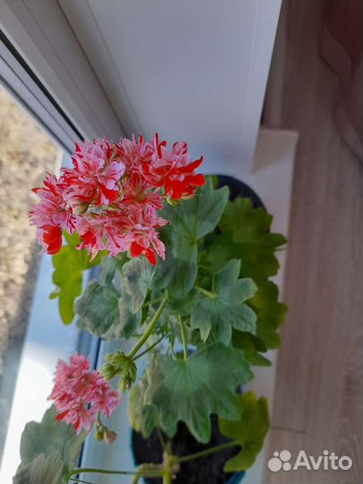 Предметы интерьера