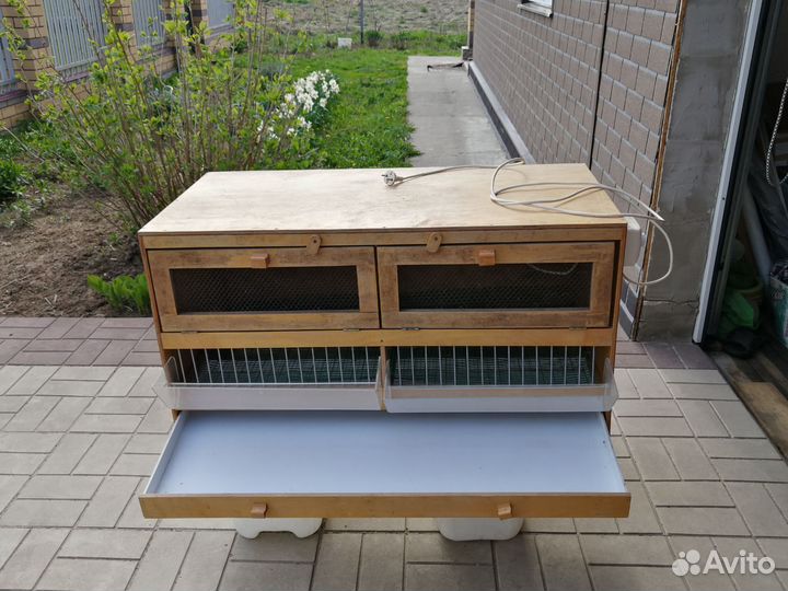 Брудер для цыплят