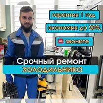 Ремонт холодильников/ Ремонт холодильников на дому/ Мастер по ремонту холодильников, Сестрорецк