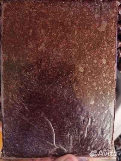 Артемия, мотыль. Аквариумный стеллаж