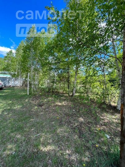 Участок 11,3 сот. (СНТ, ДНП)