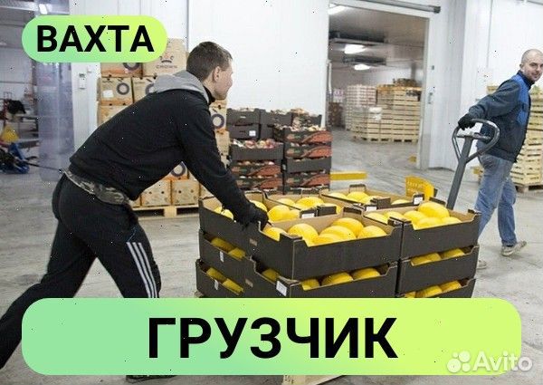 Гузчик вахта