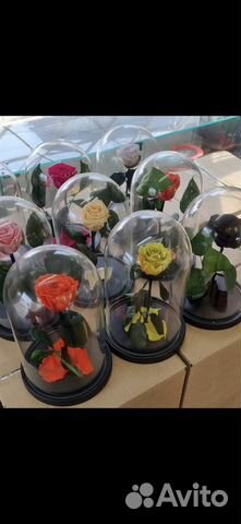 Живая роза в колбе